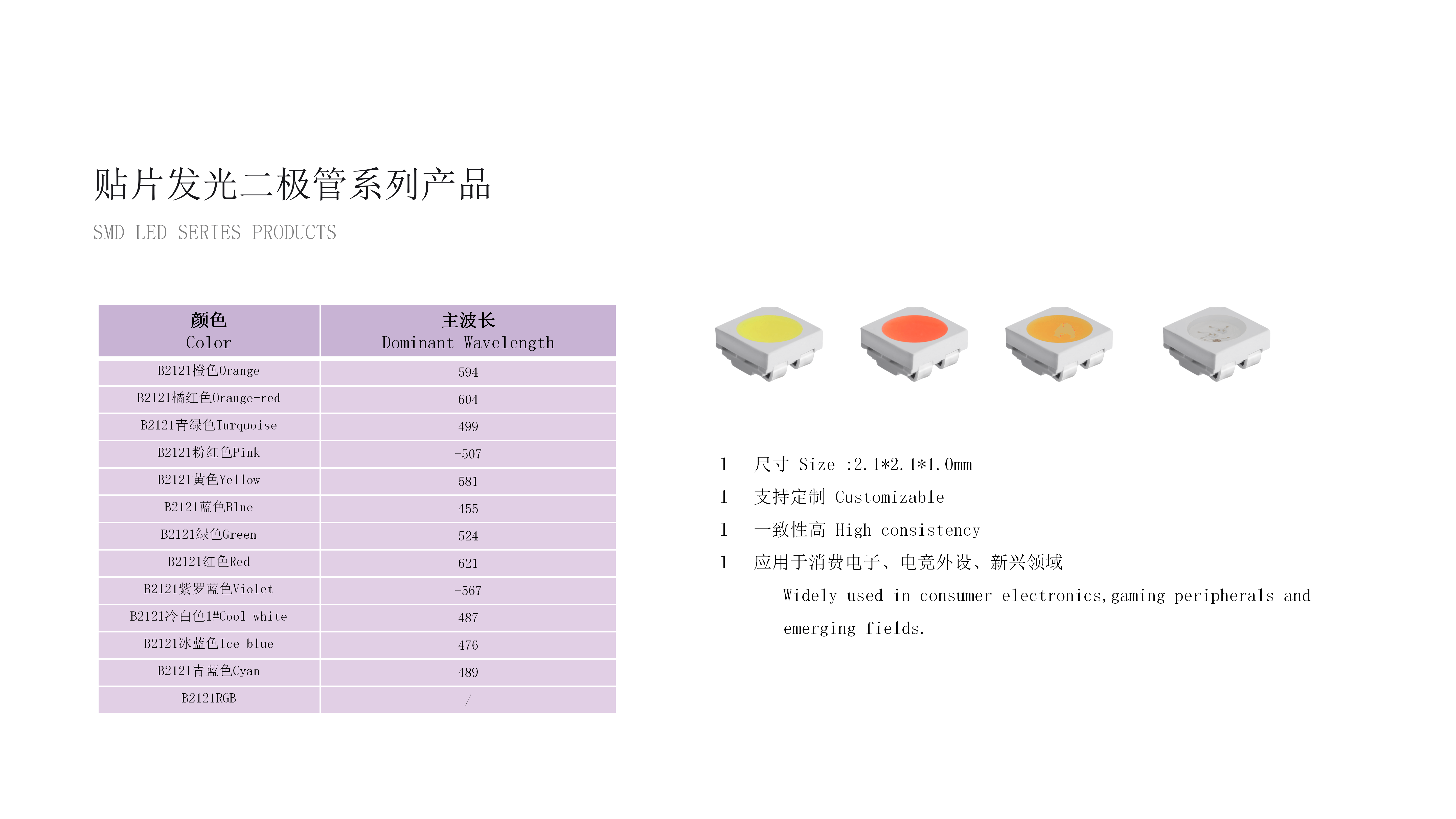 RAESHA瑞讯电子科技产品介绍V1_39(1).png