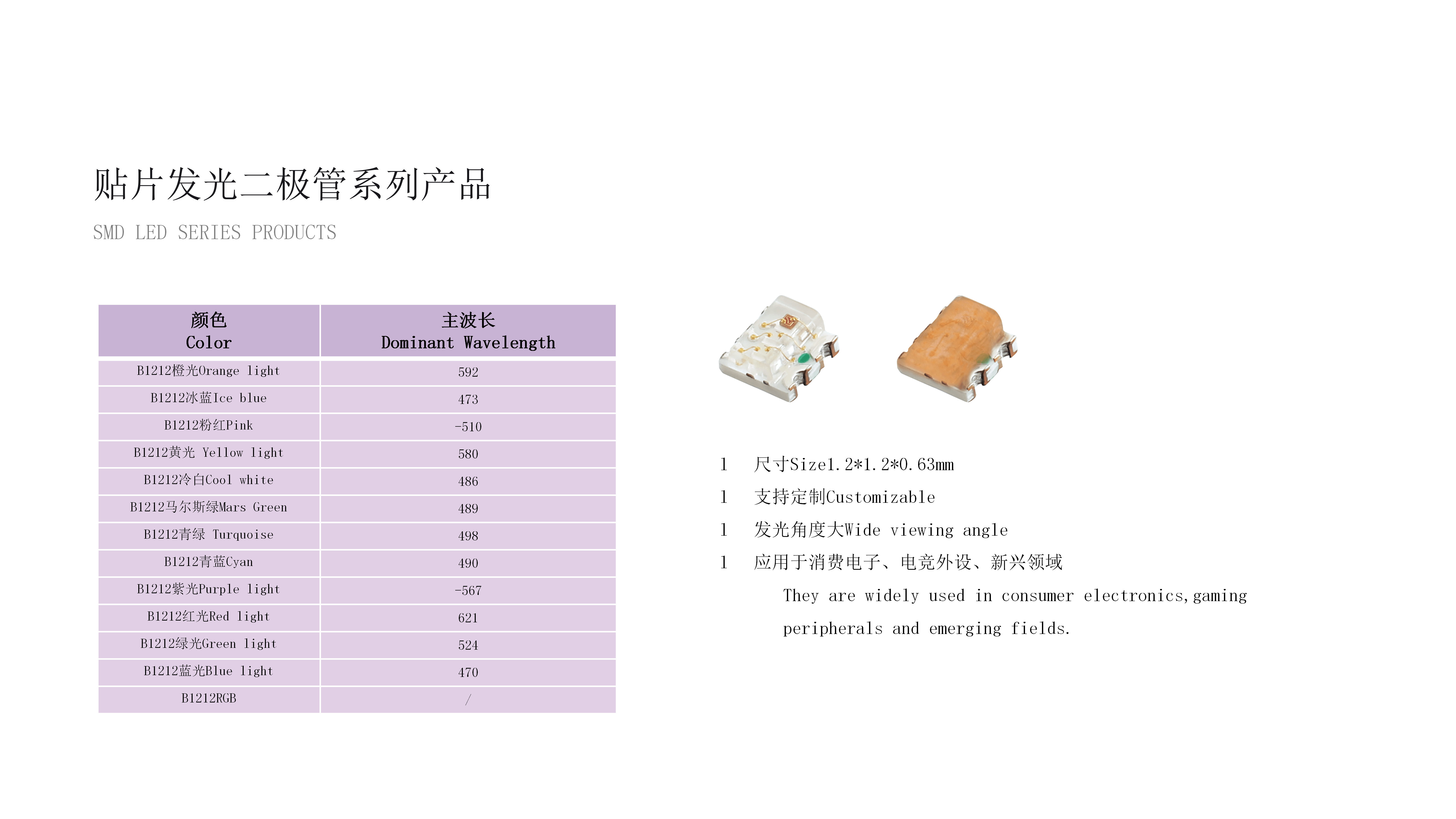 RAESHA瑞讯电子科技产品介绍V1_40(1).png